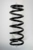 SPIDAN 55599 Coil Spring